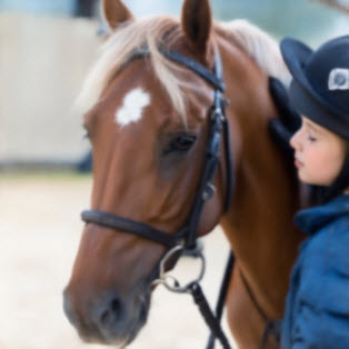 Changing lives through horses